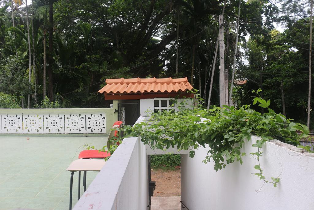 גאלה Jungle Guest House מראה חיצוני תמונה