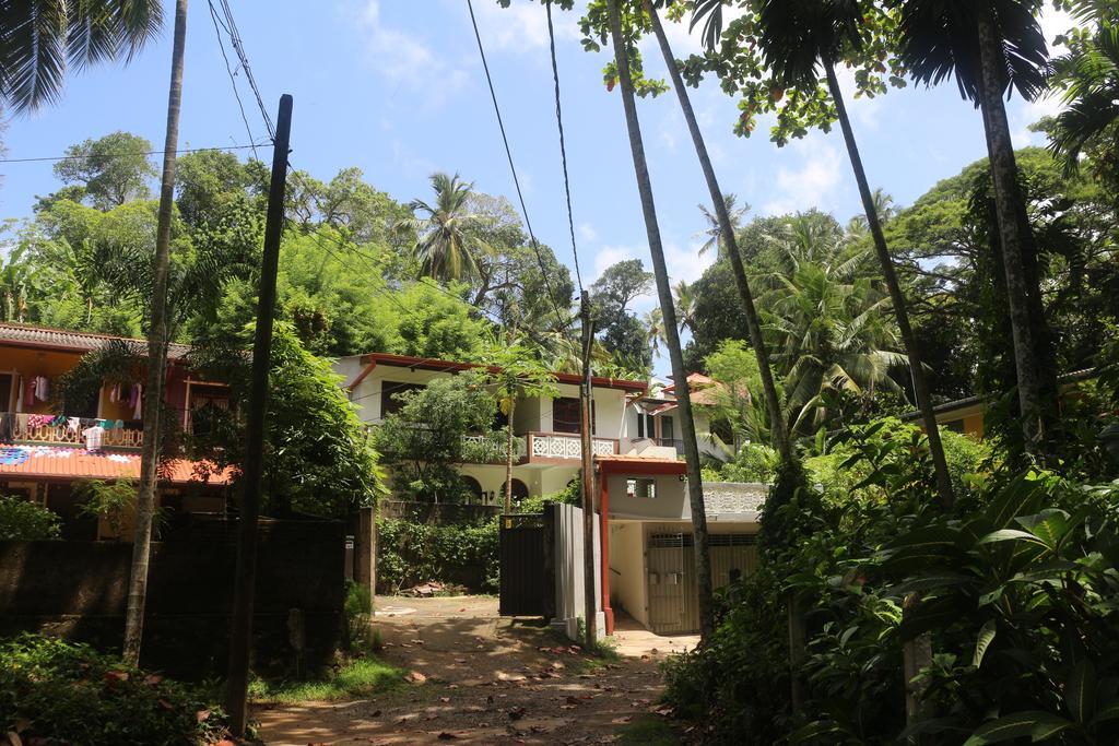 גאלה Jungle Guest House מראה חיצוני תמונה